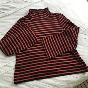 Wide Sleeve Turtleneck in Stripe
